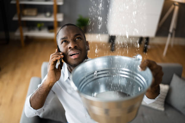 Best Water damage contractors near me  in Peabody, MA