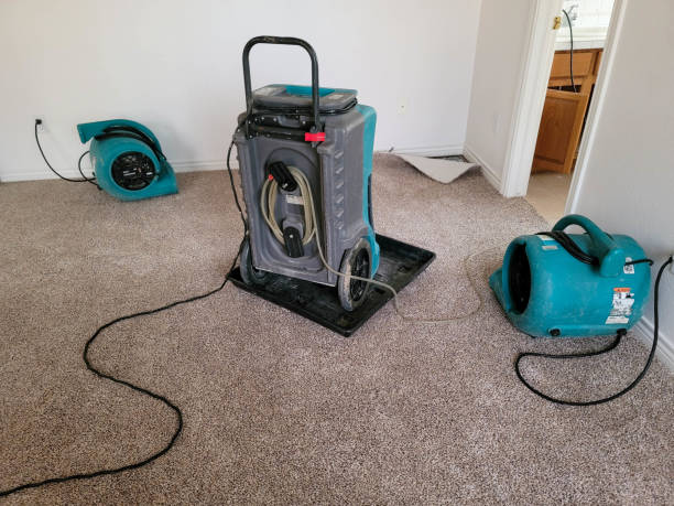Best Sewage cleanup and water damage restoration  in Peabody, MA