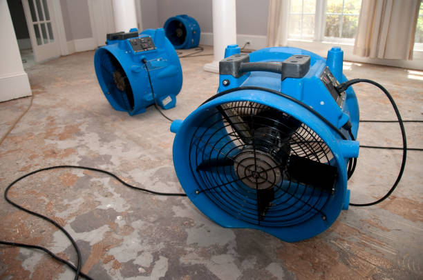 Sewage cleanup and water damage restoration in MA