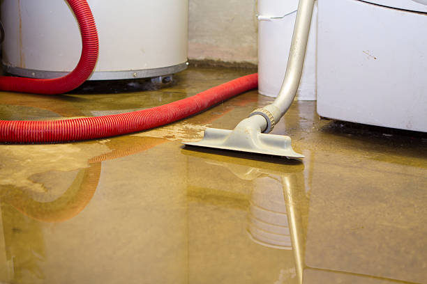 Carpet water damage restoration in MA