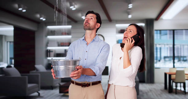 Best Water damage contractors near me  in Peabody, MA